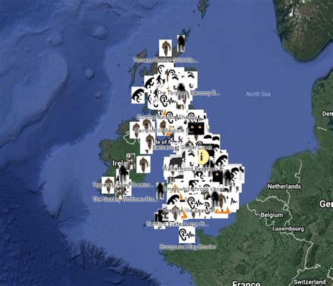 Map Tracks Bigfoot And Other Cryptid Sightings In Uk