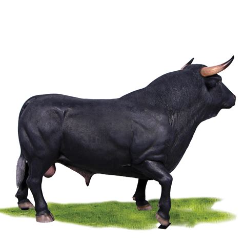 Spanish Bull Black Sculptures In Australia