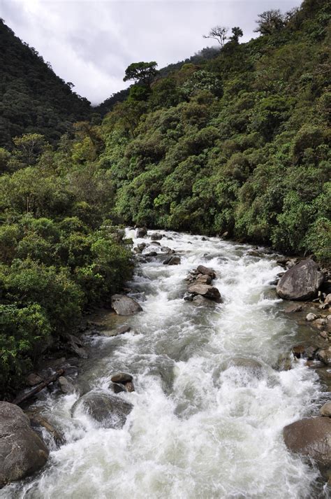 Data transmission is a perennial stream and it begins to play as received . and processed on the stb equipment. Earth Week: A Stream Is a Stream Is a Stream: Or Is It ...