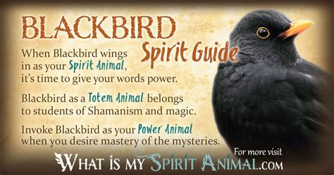 Blackbird Symbolism And Meaning Blackbird Spirit Totem And Power Animal