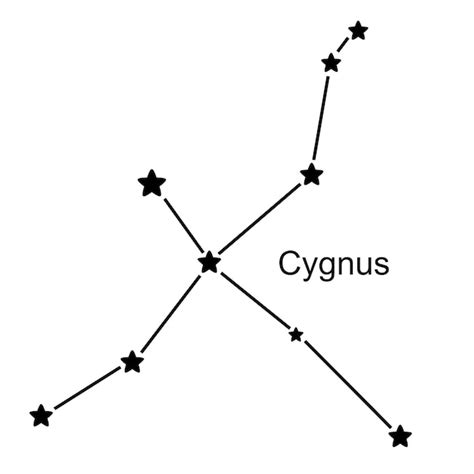Constelación Cygnus Sobre Fondo Blanco Ilustración Vectorial Vector