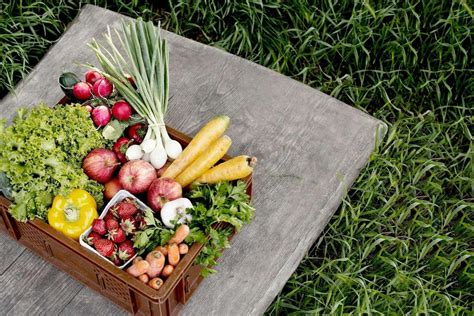 Gemüse Und Obst Kisten Bestellen And Liefern Lassen Adamah Online Shop