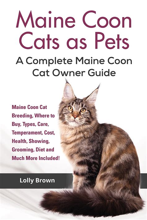 Buy Maine Coon Cats As Pets Maine Coon Cat Breeding Where To Buy