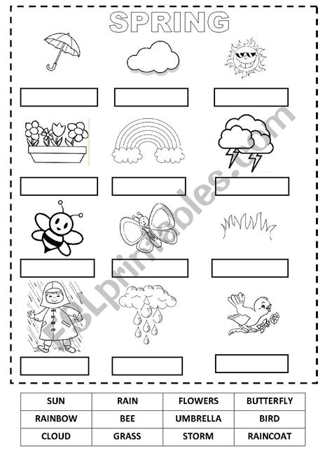 Spring - cut and paste - ESL worksheet by marysia