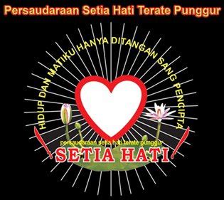 Sebagiannya lagi dianggap terlalu mahal. PENCAK SILAT: gambar-gambar