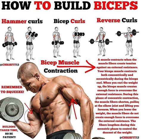 Grow Your Biceps Guide