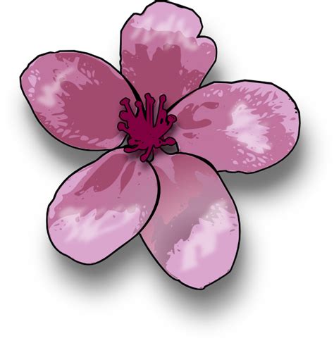Blossom Clip Art At Vector Clip Art Online Royalty Free