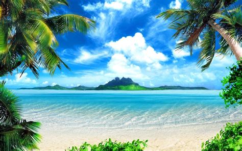Download Paradise Found Enjoy This Beautiful Beach Hidden Away In