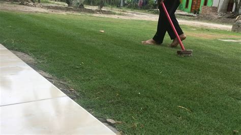 Rumput halaman rumah bisa RC - YouTube