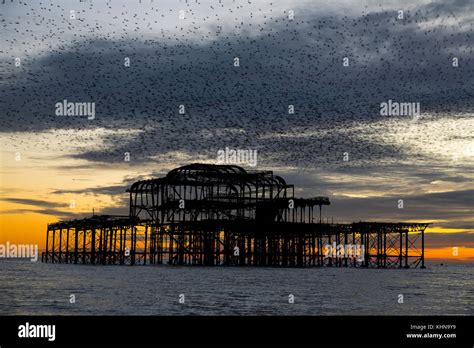 Brighton Uk Starling Murmurations At Sunset Over Brightons Derelict