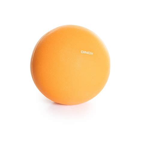 Foam Pallo Dinox, Ø21cm