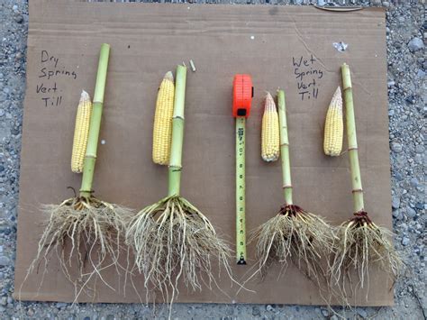 Cultivator and plow are synonymous, and they have mutual synonyms. Agronomy Guy: Lessons Learned In Vertical Tillage