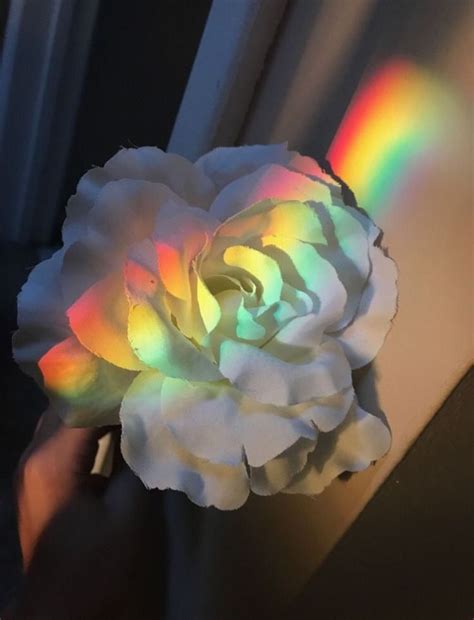 La Vie En Rose Flower Aesthetic Rainbow Aesthetic Aesthetic Iphone