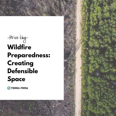 Creating Defensible Space For Wildfire Risk Mitigation Terra Frma