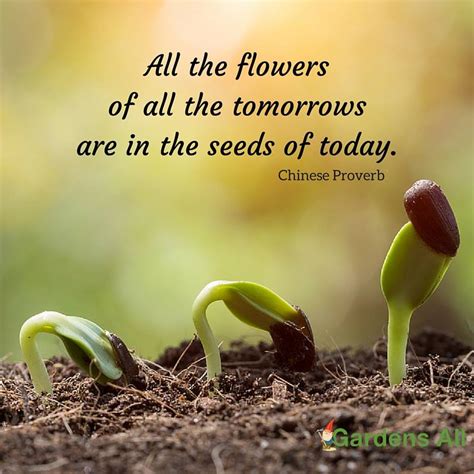 Garden Quotes For Life Growth And Inspiration Gardensall