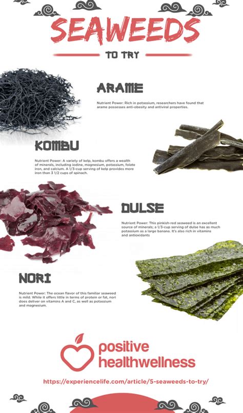 5 Seaweeds To Try Infographic Positive Health Wellness