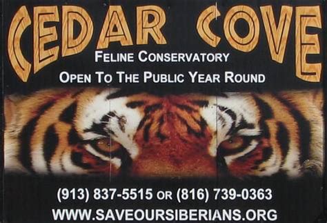 We aim to be recognised and respected as being the best breedi. Cedar Cove Feline Conservation Park & Education Center ...