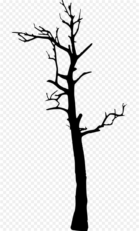 Tree Silhouette Photography Clip Art Dead Tree Png Download 1269