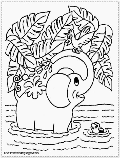 Blank Jungle Animals Coloring Pages