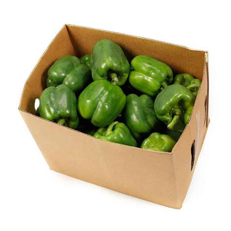 Bell Peppers Green Organic Ubicaciondepersonascdmxgobmx