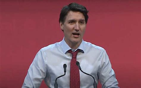 trudeau vows to run in next election at liberal party convention nestia