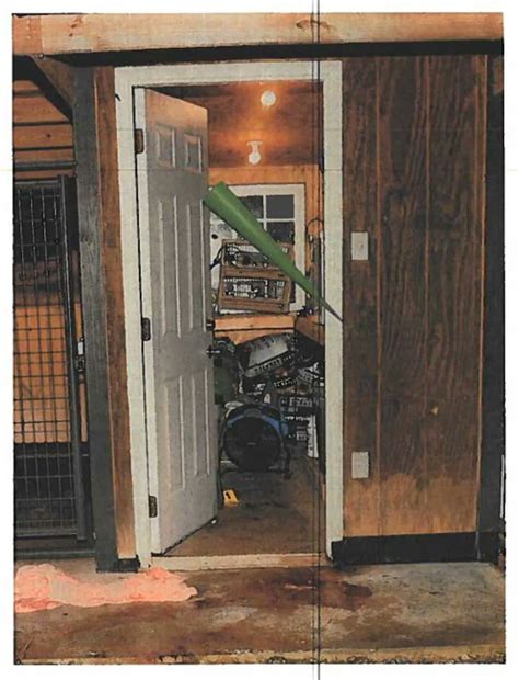Alex Murdaugh trial shown crime scene photos of bloody dog kennels