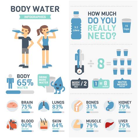 Amount Of Water Present In Our Body Produtos De Saúde Dicas De Saúde