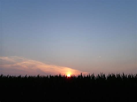 Sunset Over The Cornfield Photograph By Robert Nickologianis Fine Art