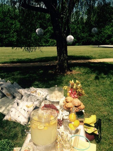 French Country Picnic In The Park Baby Shower Party Ideas Photo 3 Of