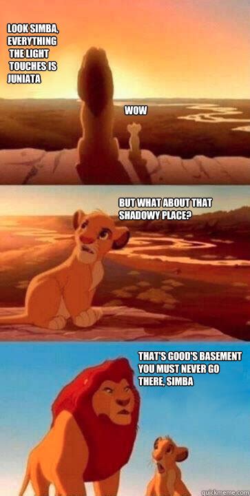 Look Simba Everything The Light Touches Is Juniata Wow But What About That Shadowy Place That