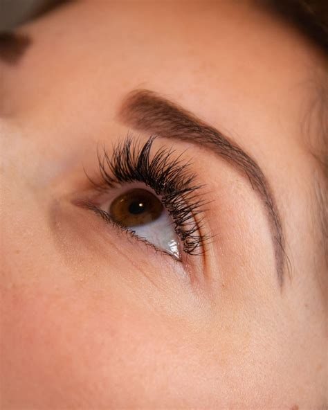 Be aware of medications and conditions like pregnancy that could affect shed cycles. - Classic Full Set $157 Our classic lash set is the ...