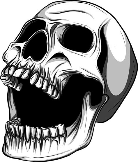 Skull Vector Illustration Collection Of Hand Drawn Skulls Hard Core