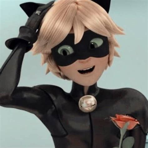 Job interview questions and sample answers list, tips, guide and advice. Miraculously Aesthetic Pt.2 (Cat Noir) | Fandom