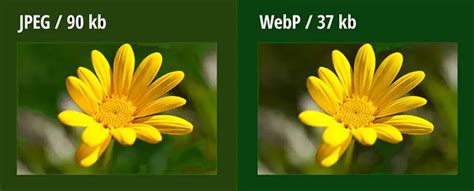 Wie Konvertiert Man WebP Bilder In Oder PNG Und Verwendet Sie In