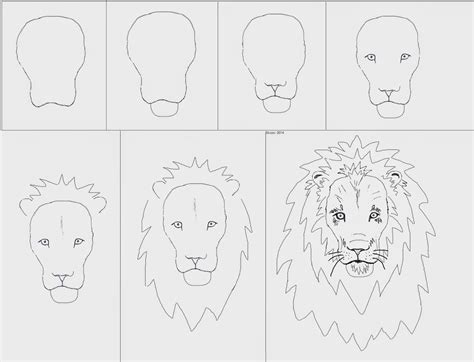 Lion Face Drawing Easy Step By Step Draw Easy