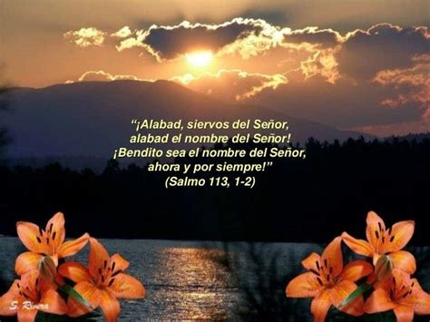 Salmos Salmo 113 112 Alabado Sea El Nombre De Dios