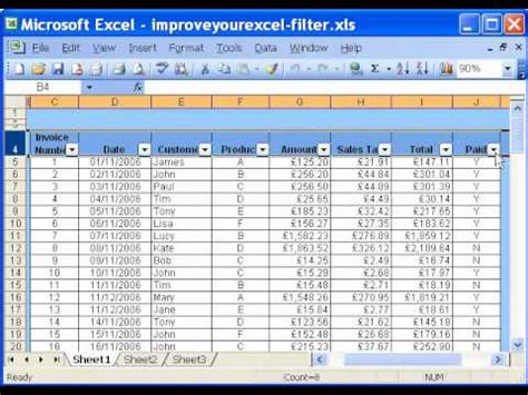 Filtering Data Using Autofilter Improve Your Excel