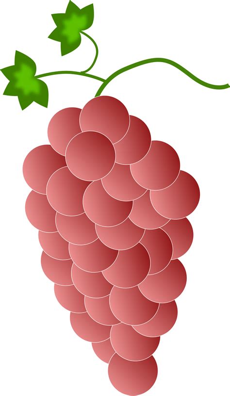 The best selection of royalty free grape vector art, graphics and stock illustrations. Grape clipart svg, Grape svg Transparent FREE for download ...