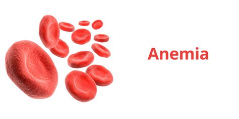Paras hemoglobin yang normal bagi wanita adalah di antara 11.5 hingga 16.5g/dl manakala bagi lelaki adalah 12.5 hingga 18.5g/dl. Tips Kesihatan | 3 Penyebab Utama Penyakit Kurang Darah ...