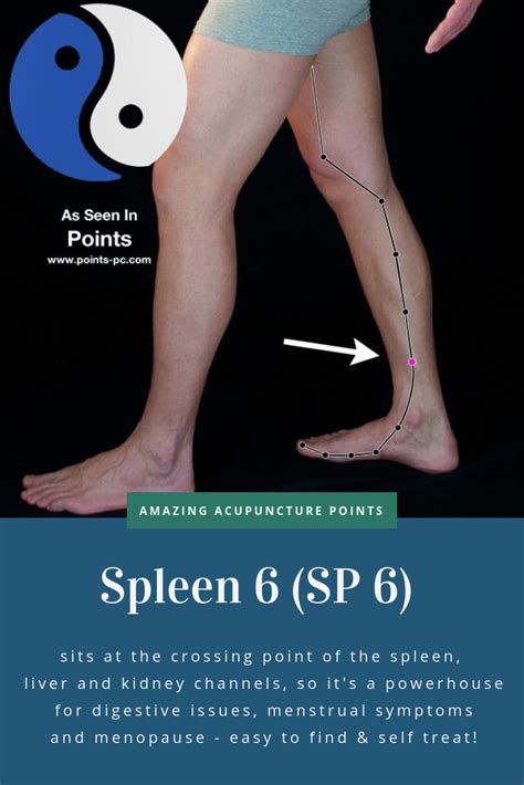 Acupuncture Point Spleen 6 Sp 6 Acupuncture Technology News Acupressure Treatment