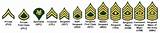 Pictures of Enlisted Ranks In The Army
