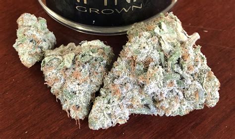 Cherry Punch Cannabis Strain Hybrid Top Shelf Weed Pot Valet