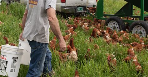 Find A Local Farmer Near You — Pasture Raised Poultry Farmer Finder