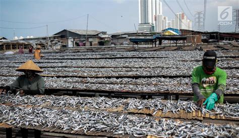 Buat memperoleh info terbaru, anda dapat simak download gambar sketsa ikan tongkol. Paling Keren 30 Gambar Kartun Orang Menjemur Ikan - Gambar ...
