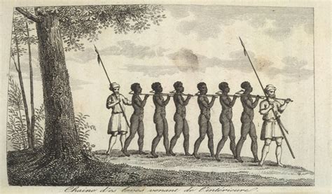 The Slave Hunt Capture And Captives Black History Month