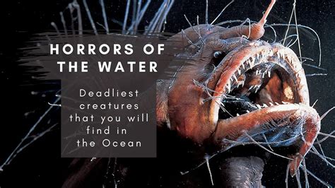 Horrors Of The Water Deadliest Creatures That You Will Find In The