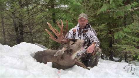 Huge Record Book Blacktail Deer Follow On Fb