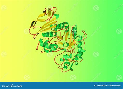 Crystal Structure Of Human Salivary Amylase Scientific Background 3d