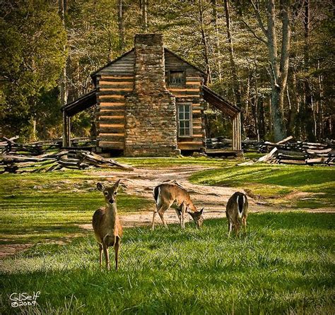 Maybe you would like to learn more about one of these? Cades Cove.......a little piece of heaven ! ! | I just ...