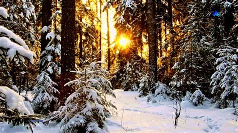 A Beautiful Winter Morning Infinite Dreams